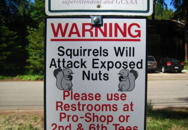 Squirrel nuts sign