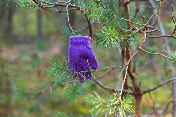 Lost purple glove hanging in tree