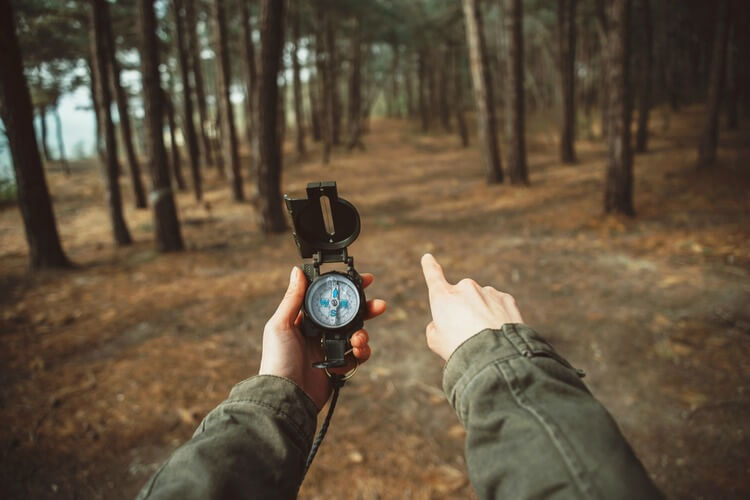Hiker holding a compass and pointing in between trees