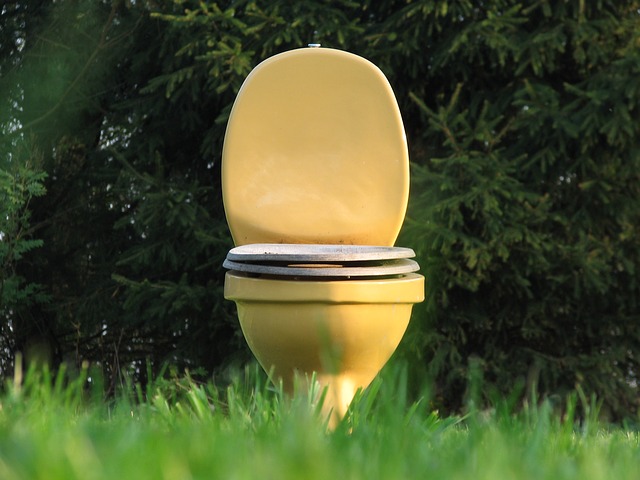 Outdoor toilets