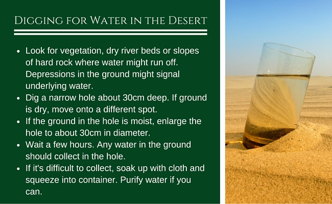 how to find water in the desert