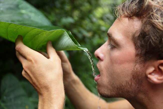 Man drinking water off plants