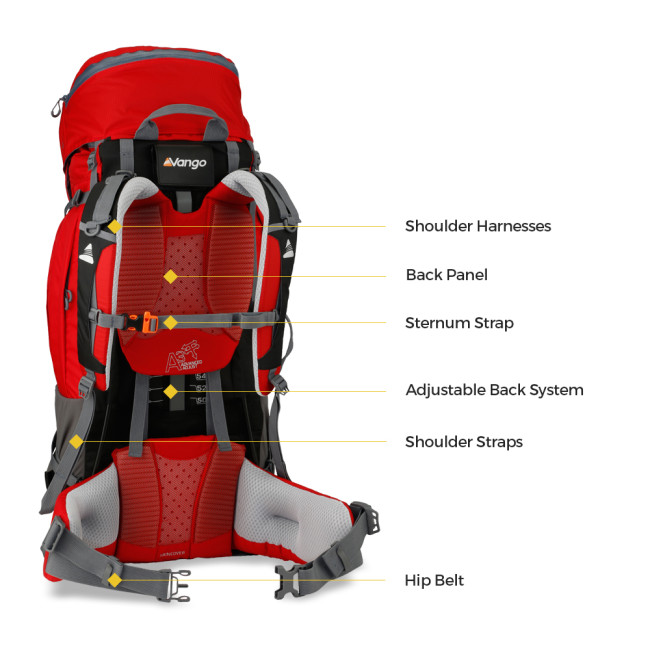 backpack features back