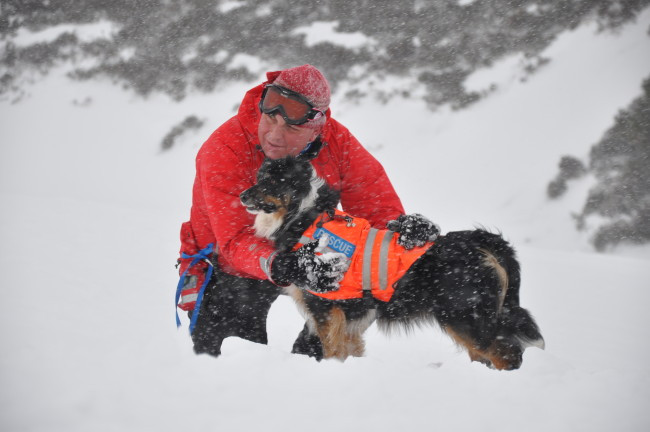 Mountain rescue volunteer and dog
