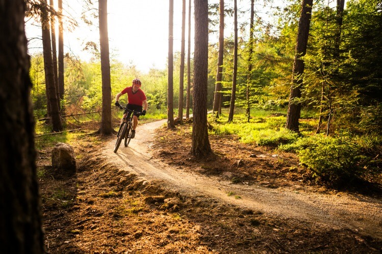 Man mountain biking through a forest